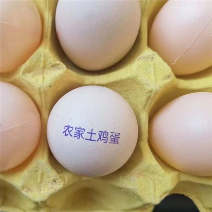 Head Egg Jet Printer